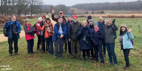 Wimbledon to Kingston.